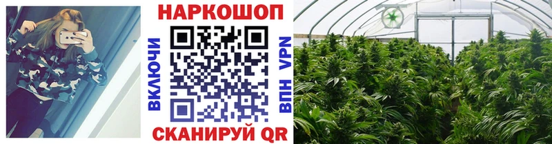 Купить наркотики Чистополь Alpha-PVP Канабис Кетамин Гашиш Меф Псилоцибиновые грибы