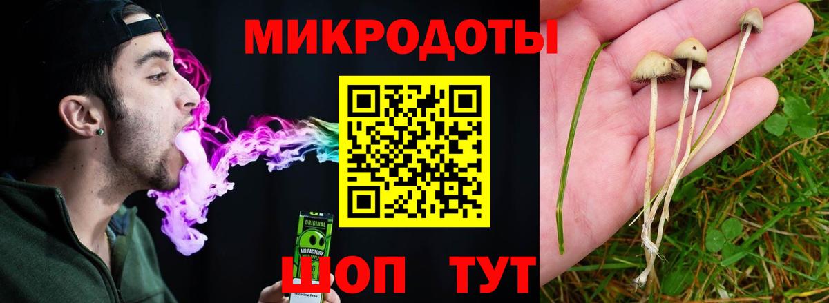 Галлюциногенные грибы мухоморы  Вход с VPN  Чистополь  где купить наркоту  Галлюциногенные грибы Psilocybine cubensis 