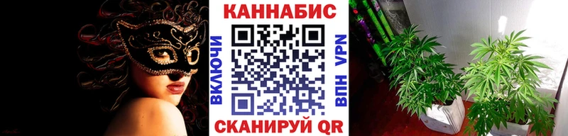 Канабис Amnesia  Чистополь 
